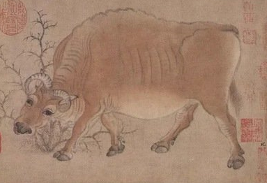 古代为何不能杀牛？背后真正原因是什么？