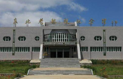 林弥一郎战后为什么不回国 战前都发生过什么事情