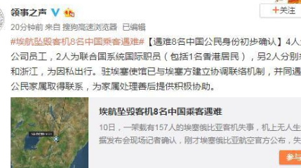埃航失事客机遇难的8名中国公民是什么人？身份初步确认