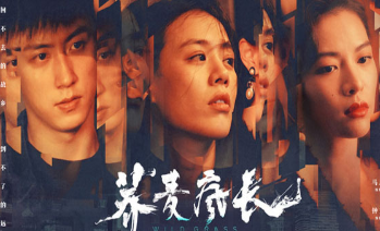 《荞麦疯长》有原著小说吗？主要讲的什么？