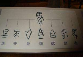 秦朝统一后实行了哪些政策？有什么积极的影响？