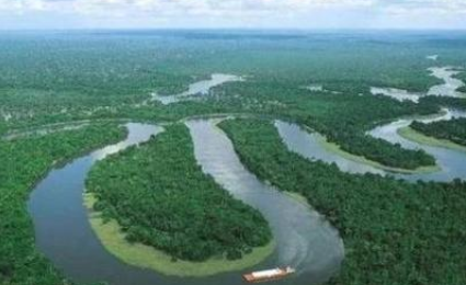 刚果盆地：世界上最大的盆地，面积为337万平方千米