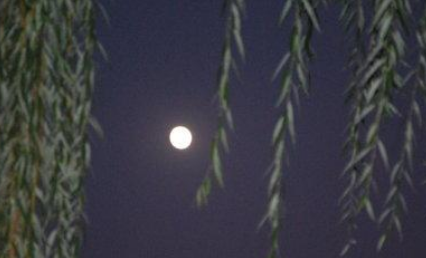 宋代柳永之倾杯乐·皓月初圆赏析，其内容原文是什么？