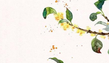 宋词鹧鸪天·桂花描绘了什么景象？该如何理解？