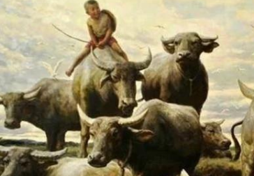 刘盆子是怎么登上帝位的？被推翻政权后得以善终结局