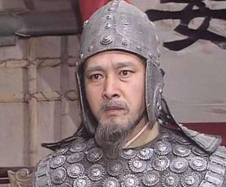 姜维到底做什么是事情 刘禅投降之后姜维全家为何被杀