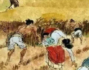白居易《观刈麦》是在什么背景下创作的？如何赏析？