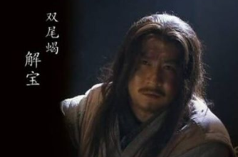 水浒传中解宝的结局是什么?后世是如何评价他的？