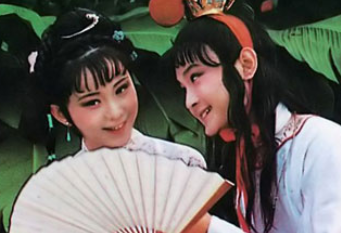 红楼梦中宝玉是如何看待晴雯的？和袭人相比如何？