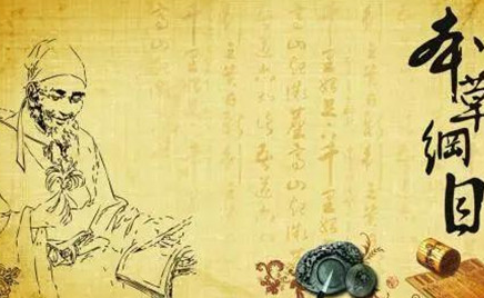 通过哪些研究方法取得的成果，李时珍更加主张人定胜天？