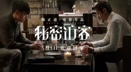 电影《秘密访客》是根据小说改编的吗？主要剧情介绍