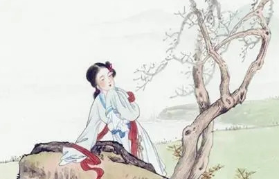 公主欲杀丈夫小妾，结果因小妾太美下不去手