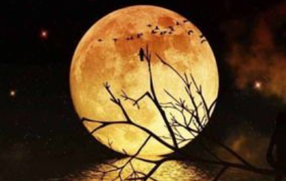 《明月皎夜光》是哪位诗人的作品？怎么翻译呢？