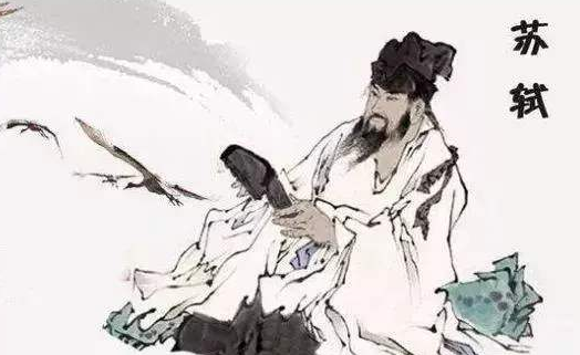 苏轼反对王安石变法的原因是什么？