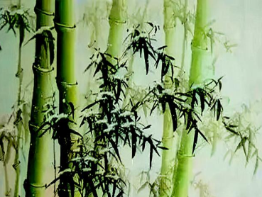 白居易所作的《题窗竹》，写出诗人内心的坚定不放弃