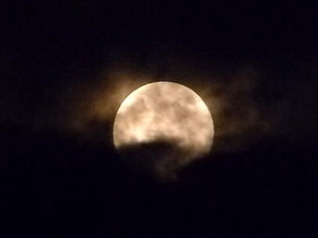白居易所作的《八月十五日夜湓亭望月》，曲折的突出诗人贬谪的孤寂之情
