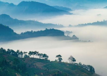 孟浩然所作的《自洛之越》，总结了诗人勤勉失意的一生