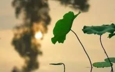 《凤箫吟·锁离愁》的写作背景是什么？该怎样去理解呢？