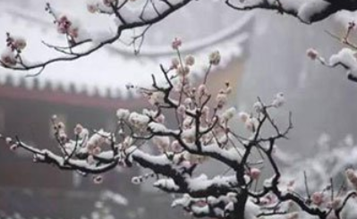 《清平乐·别来春半》的原文是什么？这首词该如何赏析呢？
