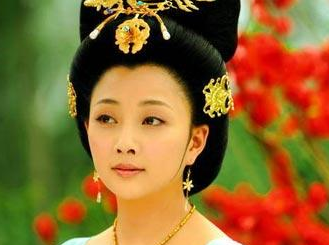 与杨贵妃相差十几岁的安禄山为何会成为她的养子？