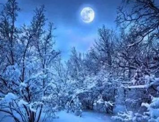 唐代诗人白居易《夜雪》原文、译文及赏析