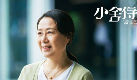 《小舍得》原著小说里南俪和夏君山是什么结局？