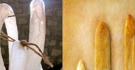 揭秘：青楼女子日理万机都是如何避孕的?