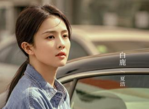 《警察荣誉》是什么剧情？张若昀白鹿合作主演