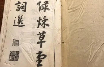 《词选》的作者是谁？主要内容是什么？
