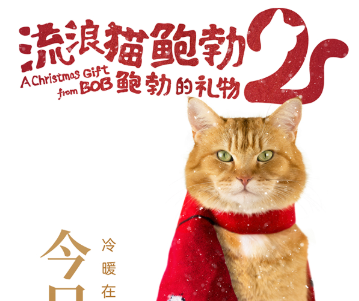 电影《流浪猫鲍勃2：鲍勃的礼物》内地上映，喵星人拯救流浪汉