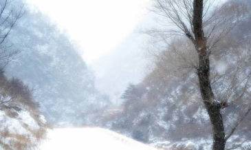 陆游的一首《大雪》，表达了怎样的情感？
