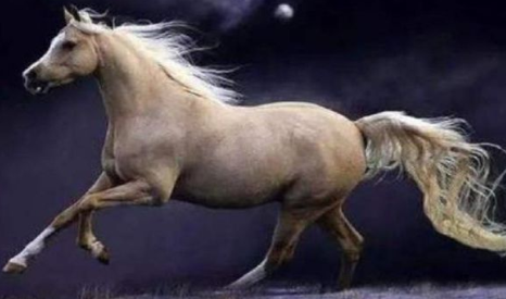 刘备选的卢马为坐骑的真正原因是什么？