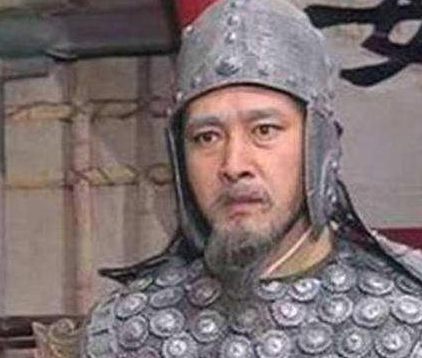 诸葛亮死后蜀汉大部门靠姜维在支撑 姜维都做了什么