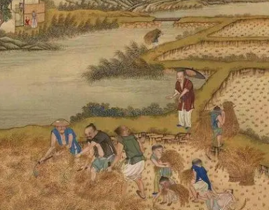 探索唐朝土地制度，当时的土地制度是如何发展的？