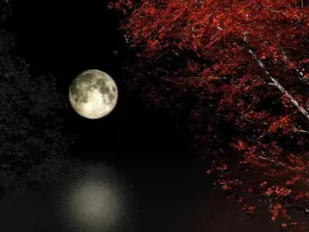 李德裕所作的《长安秋夜》，反映了作者从政生活的一个片段
