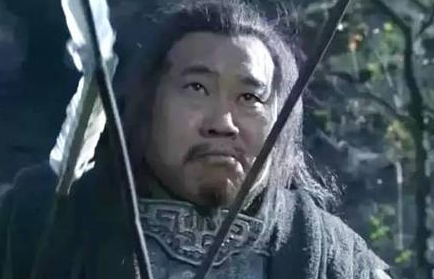 如果落凤坡死的是诸葛亮的话 庞统最后能不能打赢司马懿