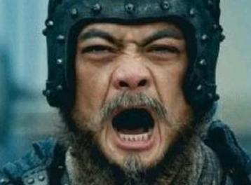 魏延在蜀汉是什么官职？他为何没被封为上将？