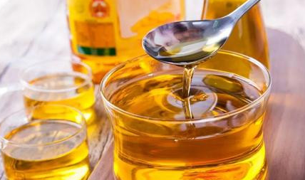在汉朝之前，古人使用的食用油都是以什么为主？