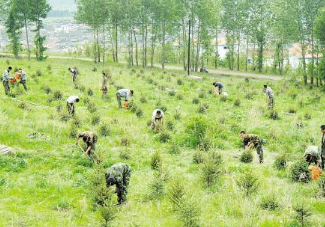 中国全世界人工造林最多的国家，目前人工造林达11.8亿亩(7860多万公顷)