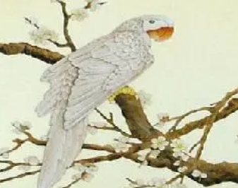 唐代文学家罗隐《鹦鹉》原文、译文注释及赏析