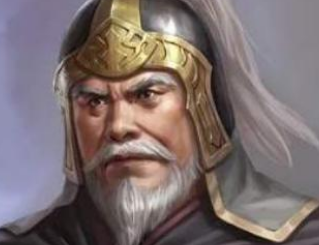 柳隐的一生都经历过什么事情？蜀汉最后的老将