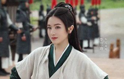 《苏记》是根据小说改编的吗？主要剧情介绍