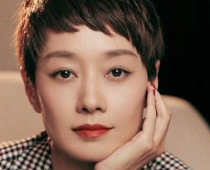 《龙城》是什么题材？由马伊琍、白宇、赵今麦出演
