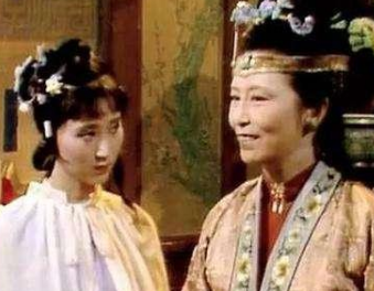 红楼梦中贾赫生病后，林黛玉为何没有去探望?