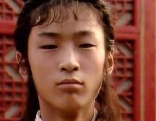 红楼梦中贾元春为何不喜欢贾环?他做了什么