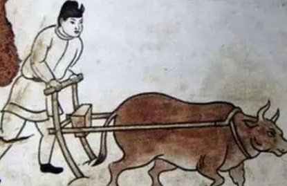 为什么古代把耕牛看的如此重要呢？
