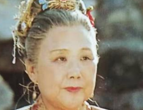 红楼梦中江南甄家是什么地位？老太妃是什么身份？