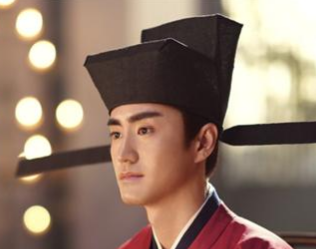 历史上赵汝愚是什么人？他真的是奸臣吗？