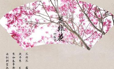 《花非花》的作者是谁？这首诗词的原意是什么？