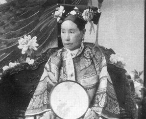 辛酉政变是如何发生的？带来了哪些后果与影响？